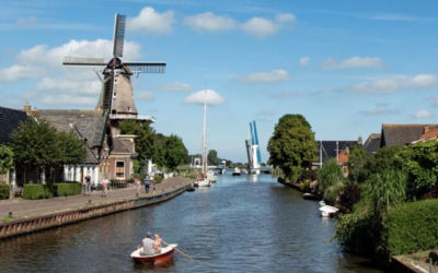 Provinsje Fryslân gunt de combinatie Protinus IT & Insight Enterprises Netherlands BV aanbesteding ‘’Reseller Standaard Softwarelicenties’’
